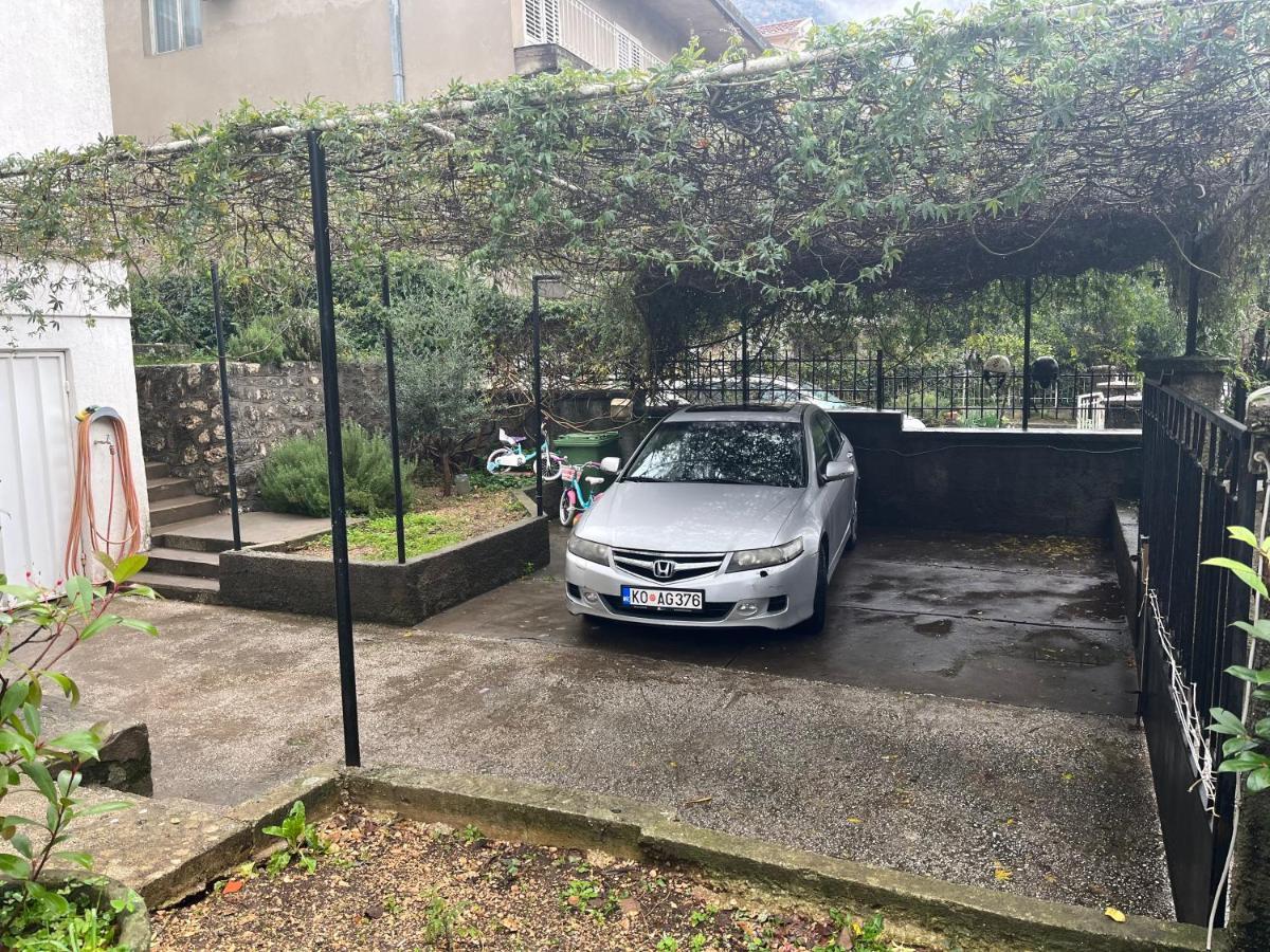 Apartment Kiwi Kotor Ngoại thất bức ảnh