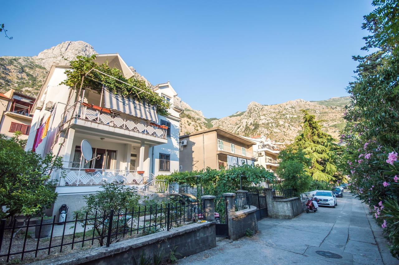 Apartment Kiwi Kotor Ngoại thất bức ảnh
